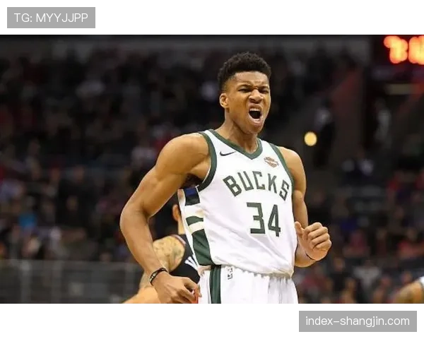 海登海姆丁基奇成少数亮点 垫底队前锋展现职业态度